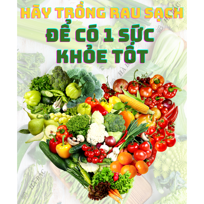 Viên Đất Nung SFARM 5dm3 Đặng Gia Trang - Giữ Nước, Chống Ngập Úng, Thoáng Khí
