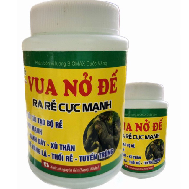 VUA NỞ ĐẾ Ra rễ cực mạnh, Vươn đọt mạnh Mai vàng, hoa kiểng 100g ...