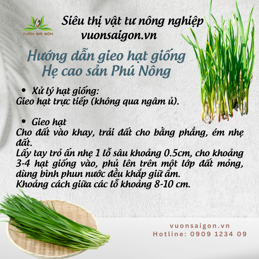 Hạt giống hẹ Phú Nông 3