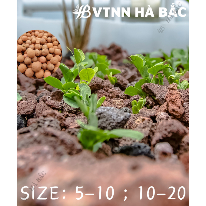 Viên Đất Nung SFARM 50dm3 Đặng Gia Trang - Giữ Nước, Chống Ngập Úng, Thoáng Khí (1 bao hơn 30kg)