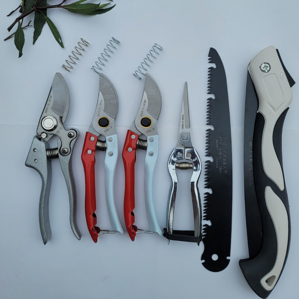 (FREESHIP) Combo Kéo Cắt Cành Tỉa Cành SK5, Tỉa Thép Trắng, Cưa Gập Cầm Tay Làm Vườn Bonsai