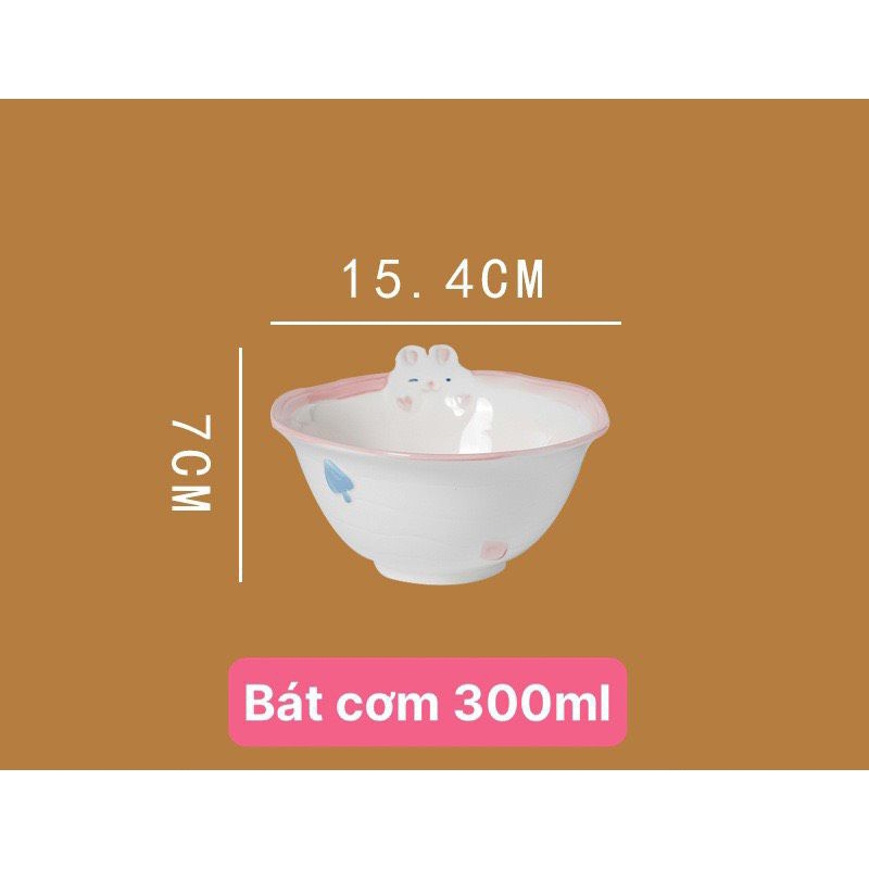 kích thước bát ăn