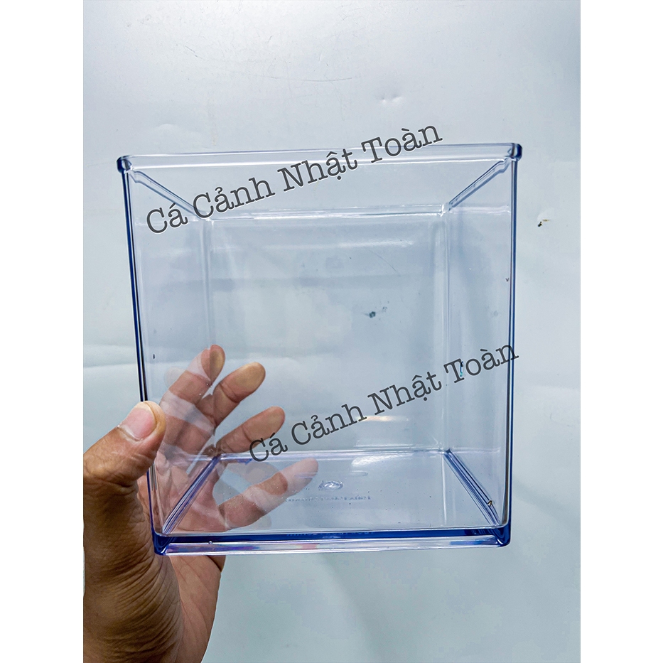 Bể Cá Betta Mica (Siêu Trong, Hiện Đại 15x15x12cm) - Hồ Show Nuôi Cá Cảnh Nhỏ Gọn - Cạnh Bo Cong