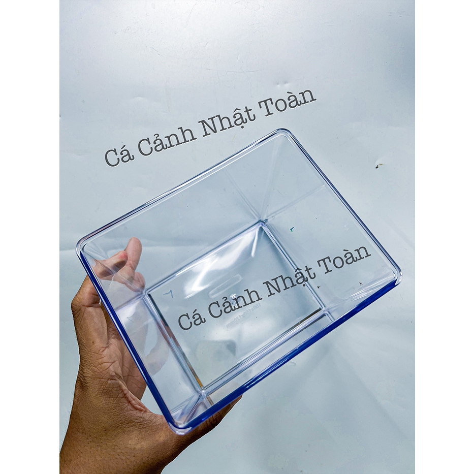 Bể Cá Betta Mica (Siêu Trong, Hiện Đại 15x15x12cm) - Hồ Show Nuôi Cá Cảnh Nhỏ Gọn - Cạnh Bo Cong