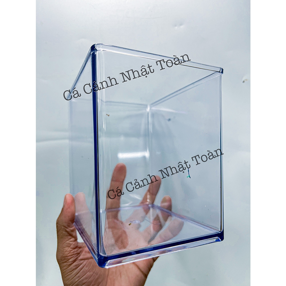 Bể Cá Betta Mica (Siêu Trong, Hiện Đại 15x15x12cm) - Hồ Show Nuôi Cá Cảnh Nhỏ Gọn - Cạnh Bo Cong