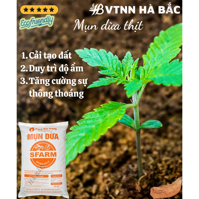 Mụn Dừa, Mụn Xơ Dừa Đã Qua Xử Lý SFARM 20dm3 Đặng Gia Trang - Mụn Dừa Trồng Cây