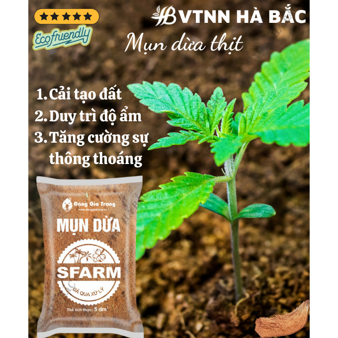 Mụn Dừa, Mụn Xơ Dừa Đã Qua Xử Lý SFARM 5dm3 Đặng Gia Trang - Mụn Dừa Trồng Cây