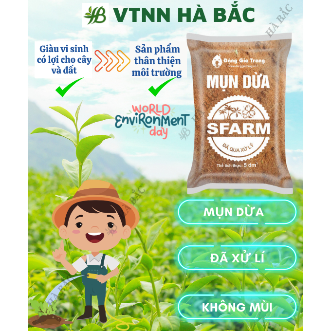 Mụn Dừa, Mụn Xơ Dừa Đã Qua Xử Lý SFARM 5dm3 Đặng Gia Trang - Mụn Dừa Trồng Cây