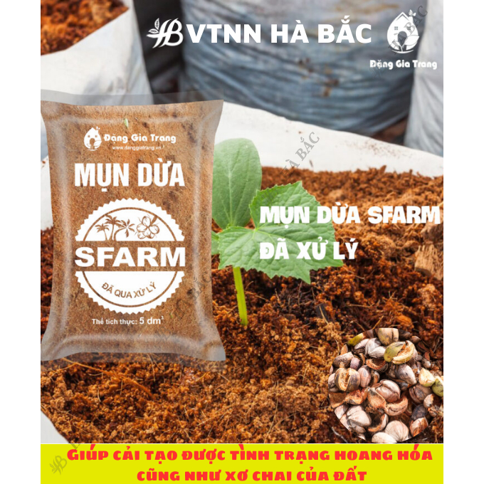Mụn Dừa, Mụn Xơ Dừa Đã Qua Xử Lý SFARM 5dm3 Đặng Gia Trang - Mụn Dừa Trồng Cây