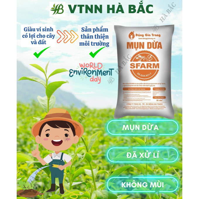 Mụn Dừa, Mụn Xơ Dừa Đã Qua Xử Lý SFARM 50dm3 Đặng Gia Trang - Mụn Dừa Trồng Cây