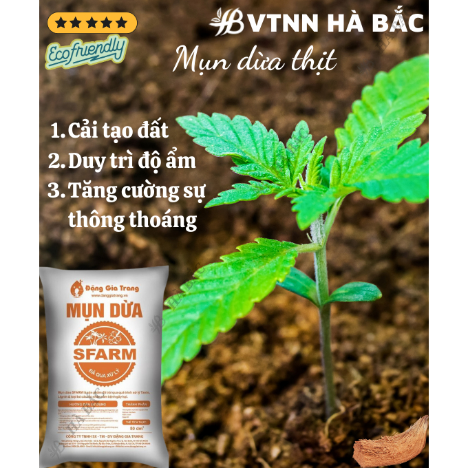 Mụn Dừa, Mụn Xơ Dừa Đã Qua Xử Lý SFARM 50dm3 Đặng Gia Trang - Mụn Dừa Trồng Cây