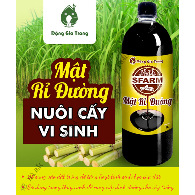 Mật Rỉ Đường SFARM Chai 1 Lít Đặng Gia Trang - Đẩy Nhanh Thời Gian Ủ Phân, Nguồn Dinh Dưỡng Dồi Dào