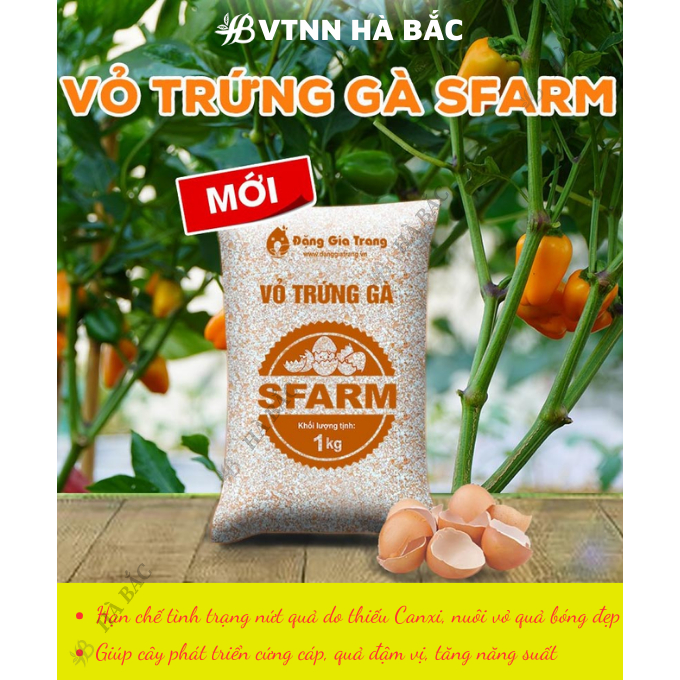 Vỏ Trứng Gà Bón Cây SFARM 1KG Đặng Gia Trang - Ngăn Ngừa Các Loại Thân Mềm (ốc sên...), Cân Bằng Độ pH Cho Cây
