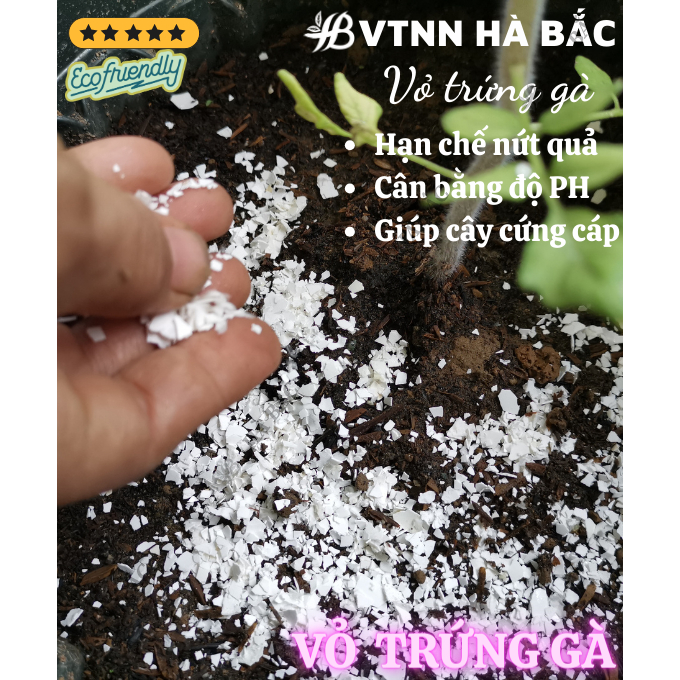 Vỏ Trứng Gà Bón Cây SFARM 1KG Đặng Gia Trang - Ngăn Ngừa Các Loại Thân Mềm (ốc sên...), Cân Bằng Độ pH Cho Cây
