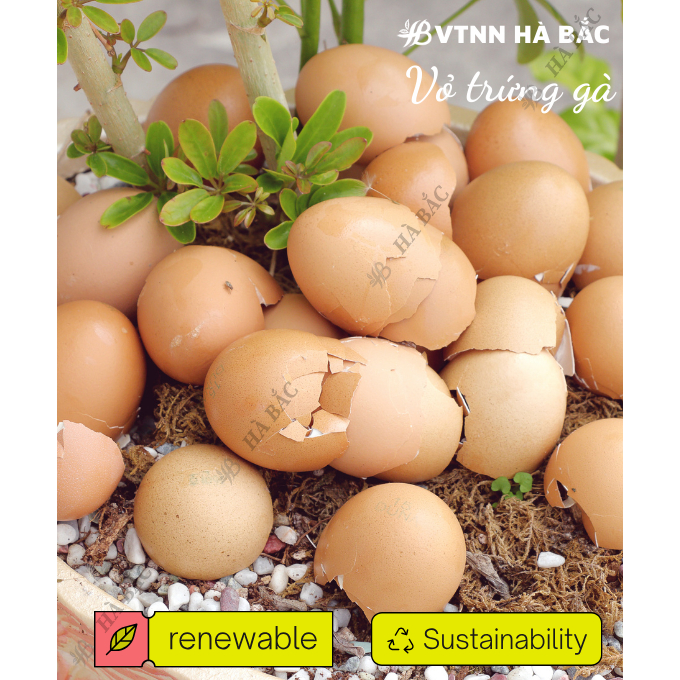 Vỏ Trứng Gà Bón Cây SFARM 1KG Đặng Gia Trang - Ngăn Ngừa Các Loại Thân Mềm (ốc sên...), Cân Bằng Độ pH Cho Cây