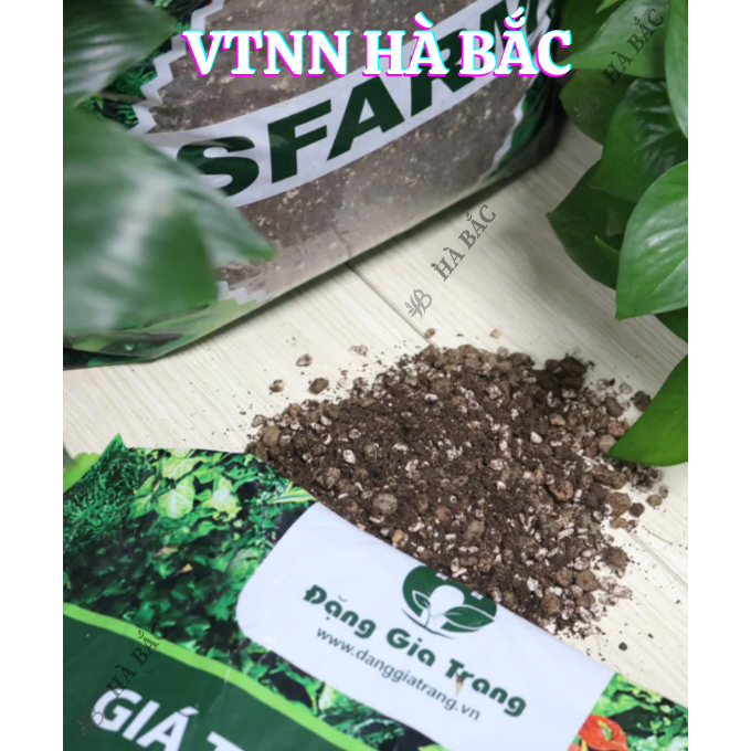 Giá Thể Trồng Kiểng Lá SFARM 17dm3 Đặng Gia Trang - Bảo Vệ Tốt Cho Rễ, Tơi Xốp, Thoáng Khí