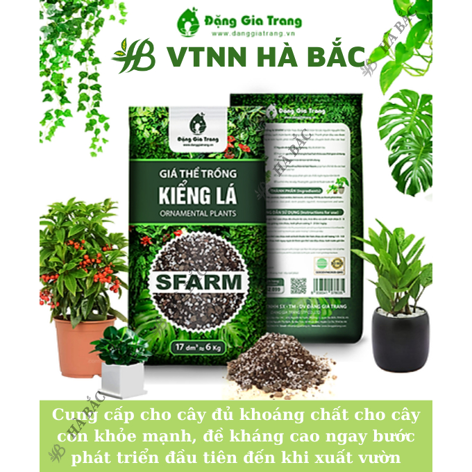 Giá Thể Trồng Kiểng Lá SFARM 17dm3 Đặng Gia Trang - Bảo Vệ Tốt Cho Rễ, Tơi Xốp, Thoáng Khí
