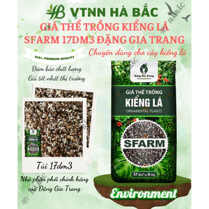 Giá Thể Trồng Kiểng Lá SFARM 17dm3 Đặng Gia Trang - Bảo Vệ Tốt Cho Rễ, Tơi Xốp, Thoáng Khí
