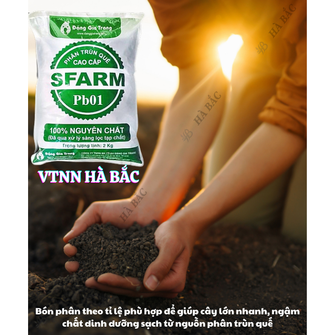 Phân Trùn Quế - Phân Bón Hữu Cơ SFARM PB01 Bọc 2KG Đặng Gia Trang - Đã Xử Lý, Dinh Dưỡng Cây Trồng