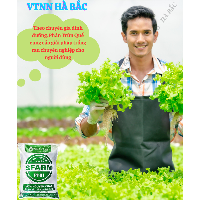 Phân Trùn Quế - Phân Bón Hữu Cơ SFARM PB01 Bọc 2KG Đặng Gia Trang - Đã Xử Lý, Dinh Dưỡng Cây Trồng