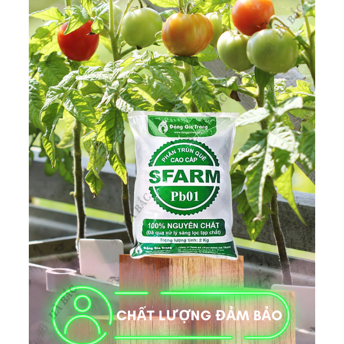 Phân Trùn Quế - Phân Bón Hữu Cơ SFARM PB01 Bọc 2KG Đặng Gia Trang - Đã Xử Lý, Dinh Dưỡng Cây Trồng