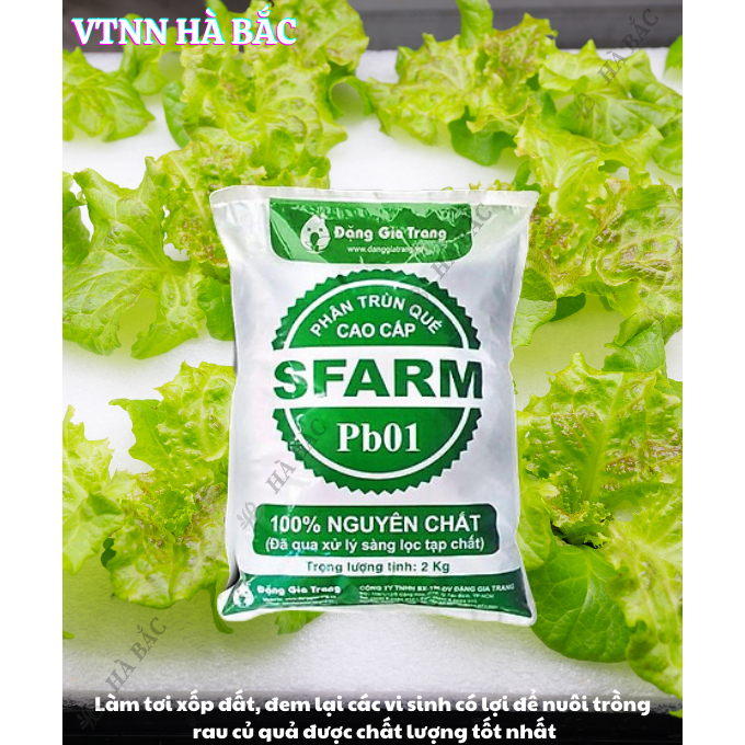 Phân Trùn Quế - Phân Bón Hữu Cơ SFARM PB01 Bọc 2KG Đặng Gia Trang - Đã Xử Lý, Dinh Dưỡng Cây Trồng