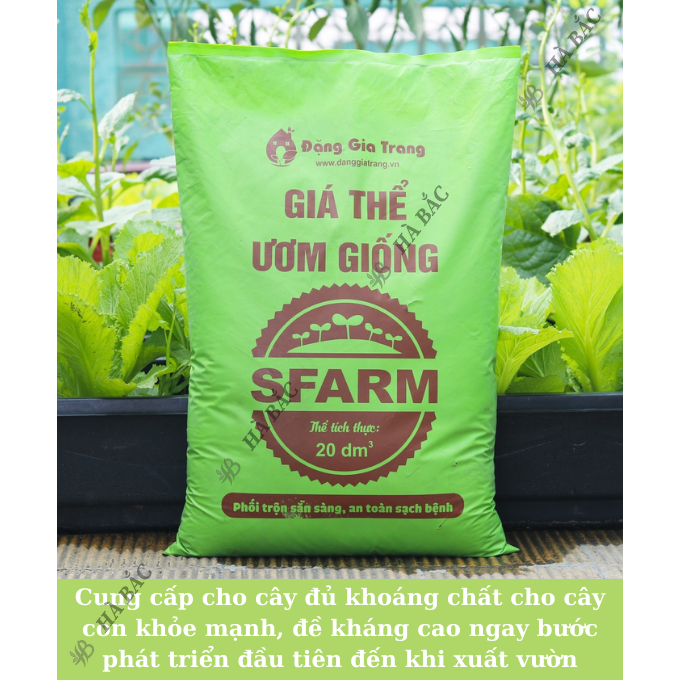 Giá Thể Ươm Giống SFARM 50dm3 Đặng Gia Trang - Nguyên Liệu Hoàn Toàn Hữu Cơ, Cho Giai Đoạn Ươm Giống