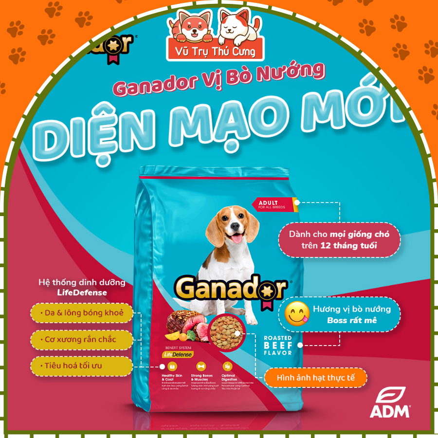 10Kg Thức Ăn Hạt Chó Chó Ganador Cung Cấp Nhiều Dinh Dưỡng