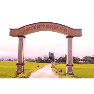 Rượu Bàu Đá BÌNH ĐỊNH Sạch NGÂM SÂM/SAFRON/NHUNG Nấu Truyền Thống Chuẩn Ủ Men Trấu và Đun Củi Không Chứa Cồn Tâm Tí