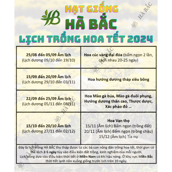 Hạt Giống Hoa Tết 2025 - Thời điểm gieo trồng hoa Tết 2025 trổ hoa đúng ngày, hoa nở to - Hạt Giống Hoa Rạng Đông