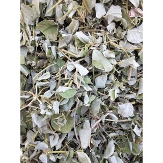 1KG Kim T.iền Thảo [ ĐẶC T.RỊ SỎI THẬN HIỆU QUẢ]Có Vị Ngọt, Tính Bình Giúp Thanh Nhiệt, Lợi Thấp