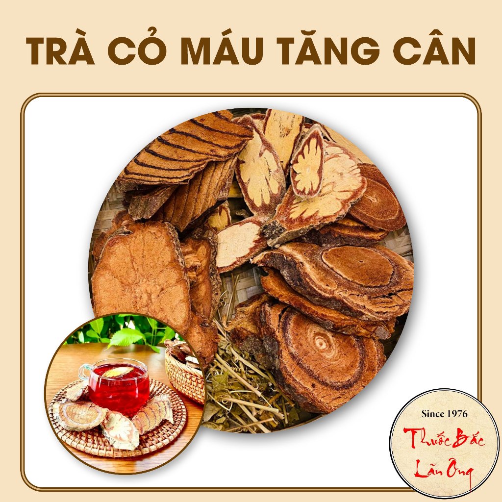 Trà cỏ máu tăng cân mix vị, trà bổ huyết, ngủ ngon, ăn n…