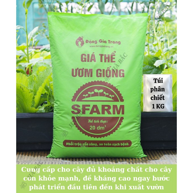 Giá thể ươm hạt giống SFarm (túi 1Kg) Đặng Gia Trang - đất sạch đã qua xử lý để ươm mầm cây con