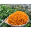 RUỐC GÀ CAY_CHÀ BÔNG LÀM BÁNH : PHONG TRẦN FOOD