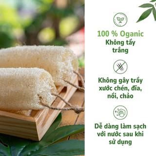 Xơ Mướp Cắt Khúc Từ Xơ Mướp Thiên Nhiên An Toàn Cho Da Dùng Để Rửa Bát Hoặc Để Tắm