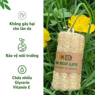 Xơ Mướp Cắt Khúc Từ Xơ Mướp Thiên Nhiên An Toàn Cho Da Dùng Để Rửa Bát Hoặc Để Tắm