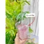 Túi Đựng Ly bình Giữ Nhiệt Trong Suốt