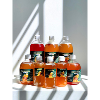 Trà Lên Men Kombucha Vị Trái Cây Chứa Men Vi Sinh, Lợi Khuẩn - Trà Kombucha Chai 250ml
