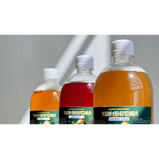 Combo-250ml Trà Lên Men Kombucha