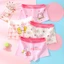 Quần lót trẻ em, quần chíp đùi chíp tam giác cho bé gái chất cotton, đáy lót thông hơi mềm mát 10-36kg