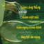 Mật dừa nước - đường dừa nước hữu cơ VIETNIPA - cô đặc - gói lẻ tiện sử dụng - Ngôi Nhà Organic