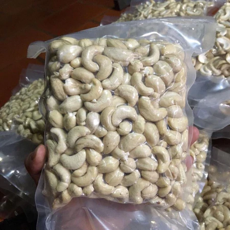 Hạt điều tươi/sống làm sữa hạt - Hạt điều tươi Nosa Food