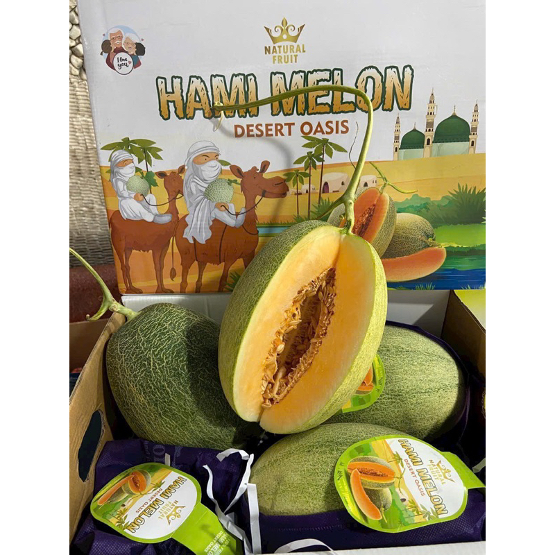 1 thùng dưa lưới đài Melon giòn tan ngọt lịm tươi 9 kg cả thùng