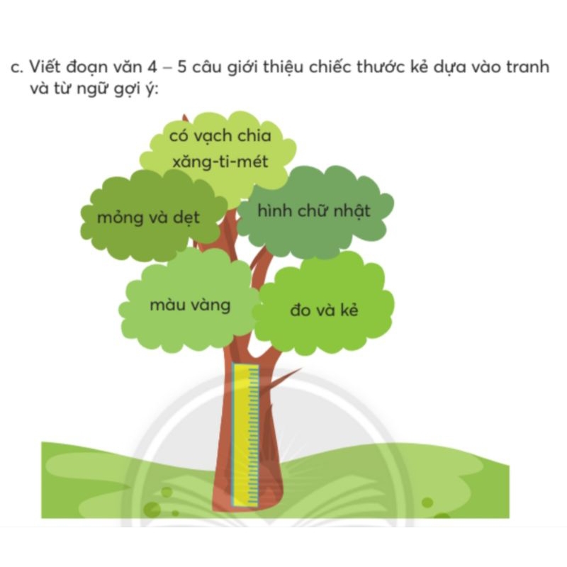 CÂY XANH SƠ ĐỒ