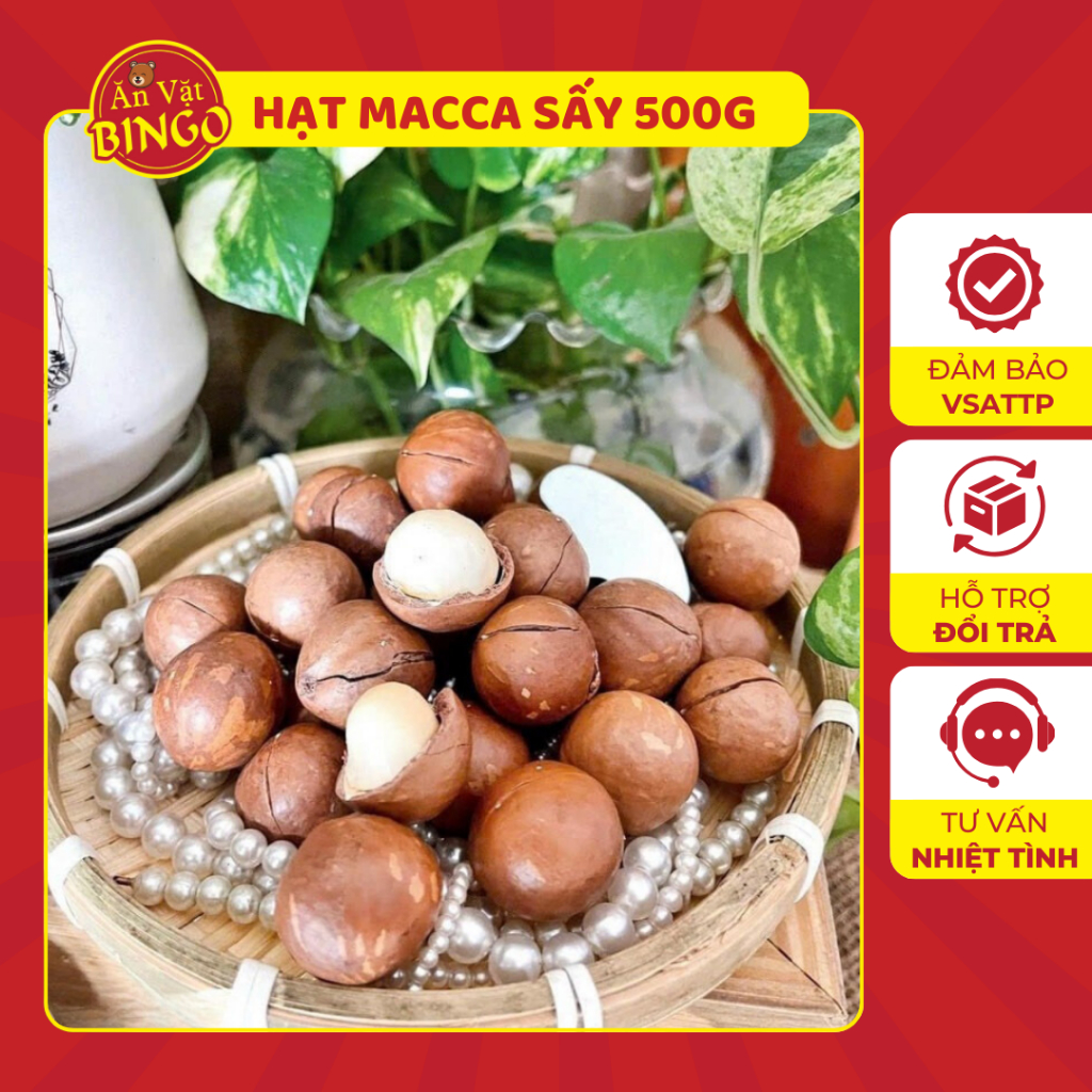 (Hộp 500g) Hạt Macca sấy nứt vỏ Tây Nguyên thượng hạng Bingo, Hạt Macca ...