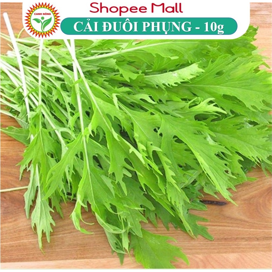 Hạt Giống Cải Đuôi Phụng Dễ Trồng, Giàu Dinh Dưỡng Tốt Cho Sức Khỏe, Hạt Giống Rau Củ Quả - Hạt Giống CANH NÔNG