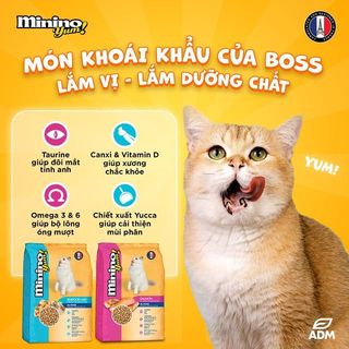 Hạt Cho Mèo Minino Và Minino Yum 1.3kg - 1.5kg Dinh Dưỡng Vị Cá Ngừ Hải Sản Cá Hồi Con Mực