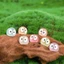 Set 10 ma dạ quang lân tinh phát sáng mini dễ thương trang trí tiểu cảnh