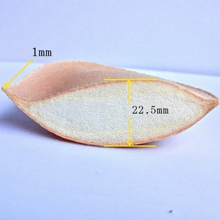 Mút Độn Sillicon Nâng Ngực King Shop D-2001