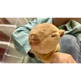 Plushie - Thú bông Capybara đeo tay ❣️ Chuột lang nước nhồi bông đáng yêu 🌷 quà tặng Noel, sinh nhật